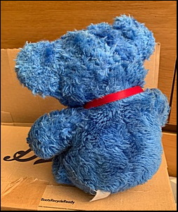 Blue Teddy after