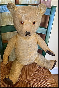 Carol B.'s Teddy after treatment