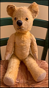 Carol B.'s Teddy after treatment