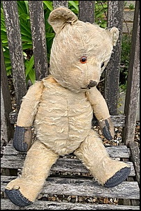 Carol B.'s Teddy before treatment