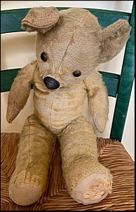 Carol B.'s Teddy before treatment