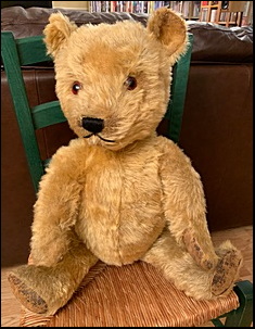 Christine C.'s Teddy after