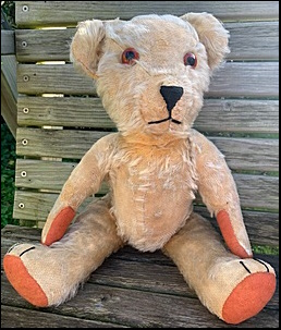 Caroline L.'s Teddy after treatment