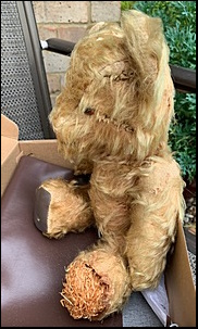 Carol S.'s Bear before treatment