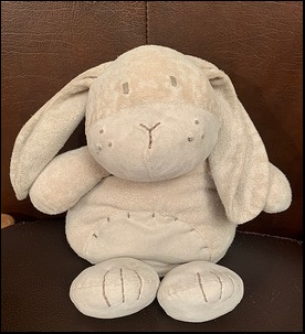 Catherine W.'s Bunny after treatment