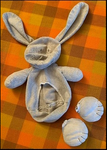 Catherine W.'s Bunny before treatment