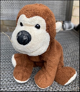 Diane R.'s Monkey before treatment