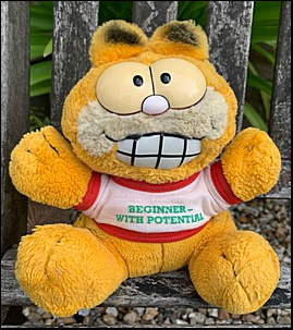 Danny S.'s Garfield after treatment