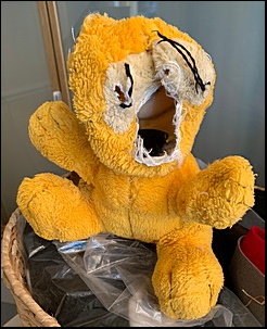 Danny S.'s Garfield before treatment