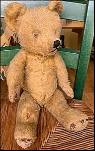 Dorothy W.'s Teddy before treatment