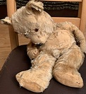 Elly H.'s Old Ted before