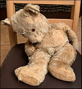 Elly H.'s Big Ted before treatment