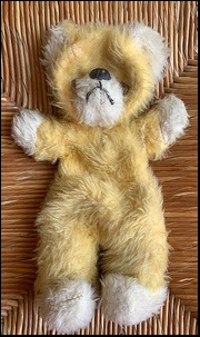 EOT.'s yellow Teddy before treatment
