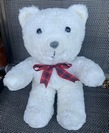 Emily S.'s Snowy Bear after