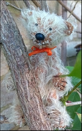 Finley relaxing in a tree