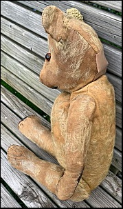 Gill B.'s Teddy before treatment