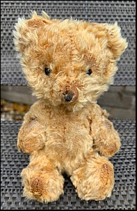 Gill J.'s Little Ted