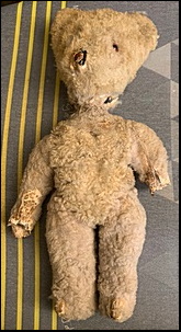 Hugh McC.'s sheepskin Teddy before