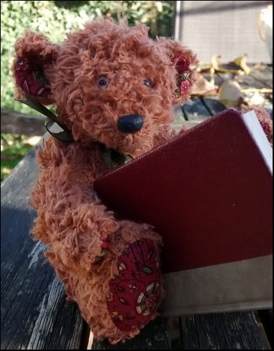 Hugo reading in the garden