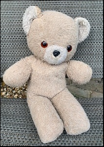 Ian K.'s Bear before treatment Ian K.'s Bear before treatment