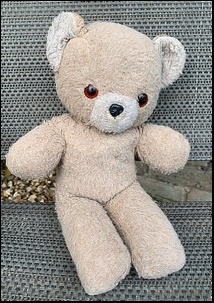 Ian K.'s Bear before treatment