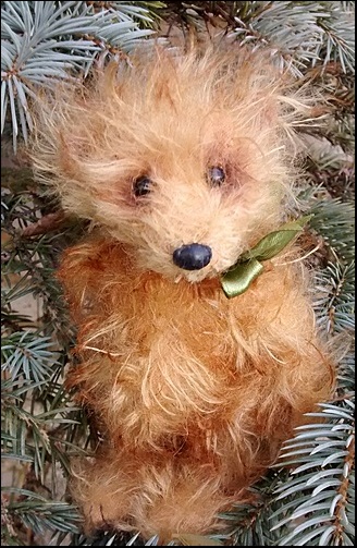 Isaac with a Christmas tree