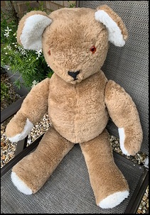 June & Philip's Teddy after treatment