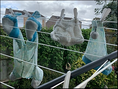 Jenny A.'s Bobble hanging out to dry