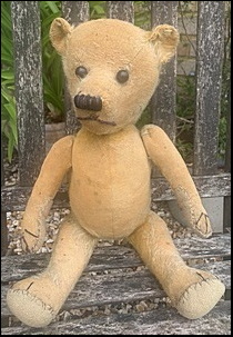 Jes A.'s Teddy after treatment