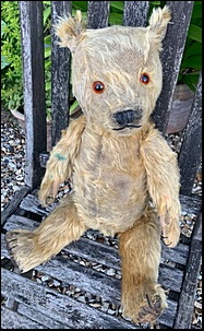 Jennifer H.'s Teddy after treatment