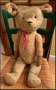 J.M.'s Teddy after