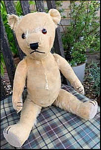Judith R.'s Ted after treatment