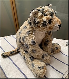 Jenni S.'s Cheetah after treatment