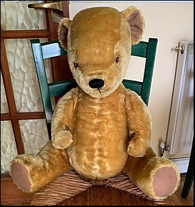 J.'s Teddy after
