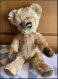 K.'s Teddy before