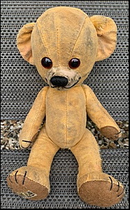 Kim C.'s Teddy after treatment