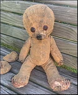 Kim C.'s Teddy before treatment