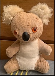 Koala after treatment