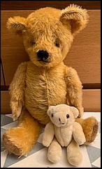 Two Teddies after treatment