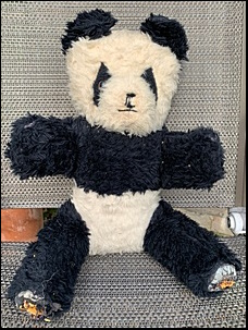 Lisa B.'s Panda before treatment