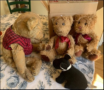 Louise C.'s Bear and cousin welcomed Louise C.'s Bear and cousin welcomed