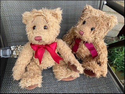 Louise C.'s Bear after treatment (with cousin) Louise C.'s Bear after treatment (with cousin)