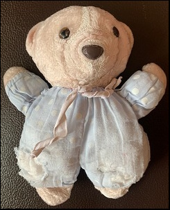 Louise S.'s Teddy before treatment