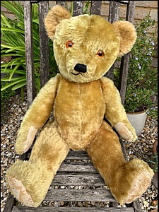 Liz W.'s Teddy after treatment