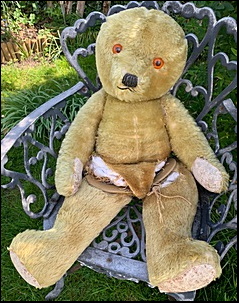 Liz W.'s Teddy before treatment