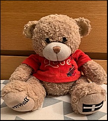 Louis Bear after treatment