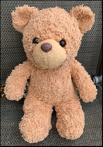 Meg C.'s Teddy after treatment