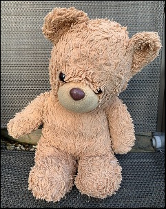 Meg C.'s Teddy before treatment