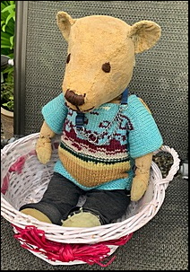 Margaret D.'s Ted after treatment Margaret D.'s Ted after treatment