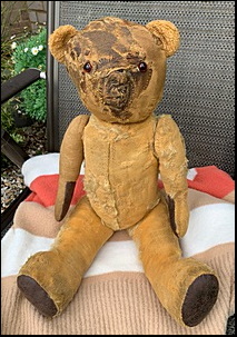 Mike T.'s Ted after treatment